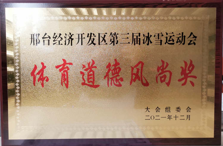 邢台经济开发区第三届冰雪运动会——体育道德风尚奖